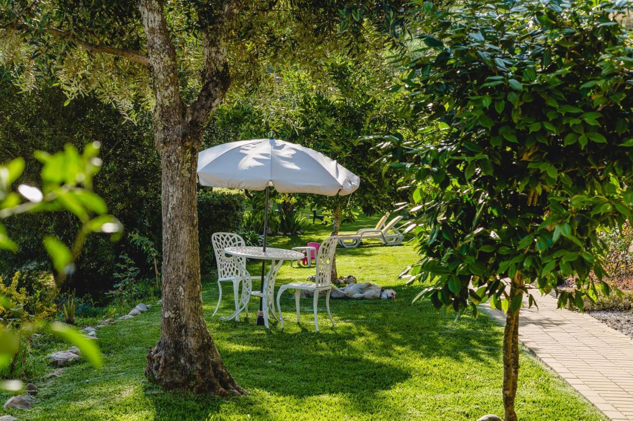 Magnolias Cottage Lousã Exterior foto