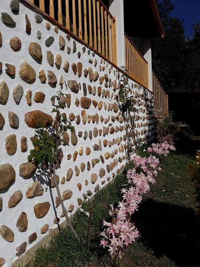 Magnolias Cottage Lousã Exterior foto